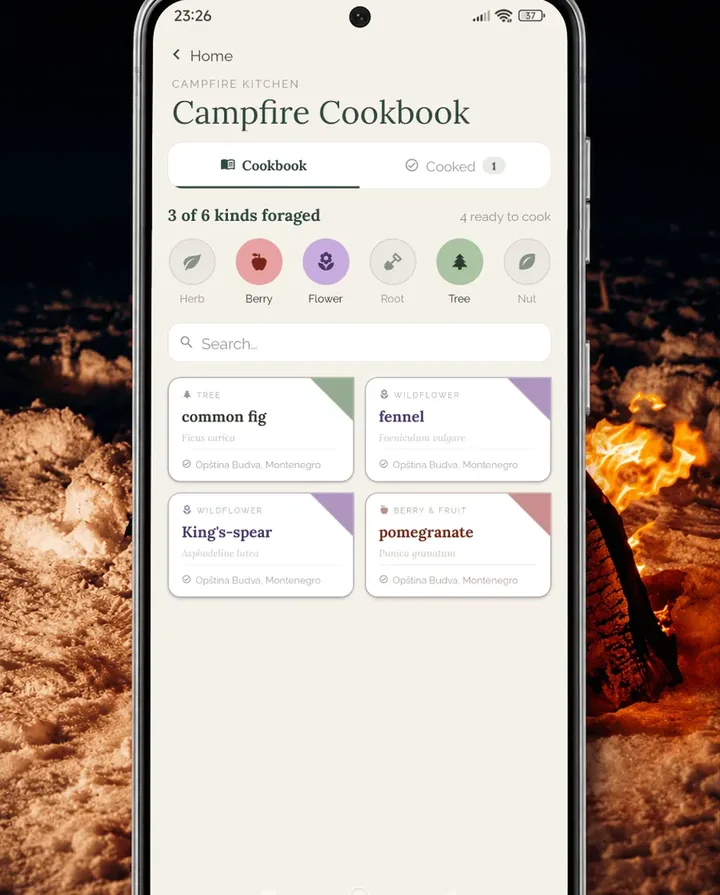 Campfire Cookbook — wild recipes built around what you find